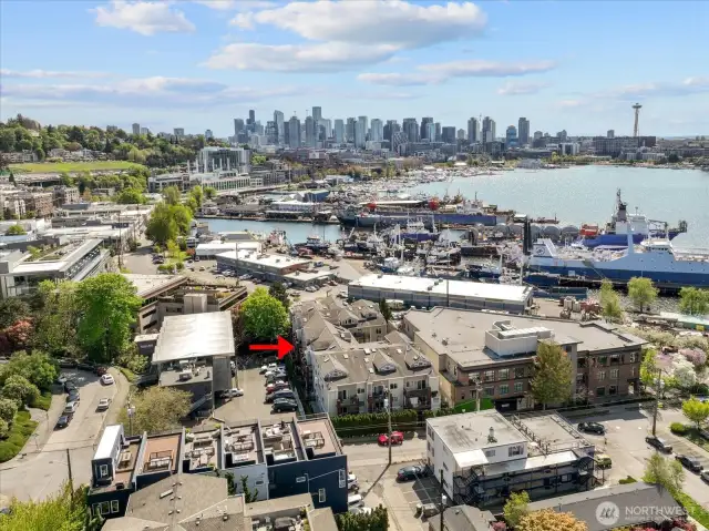 Amazon, Fred Hutch, South Lake Union just a stone's throw away