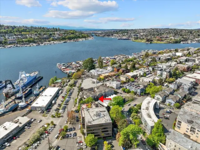 Lake Union maritime vibes