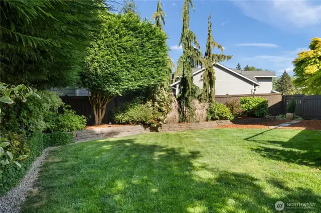 Spacious grassy area, perfect for a playset or outdoor games.