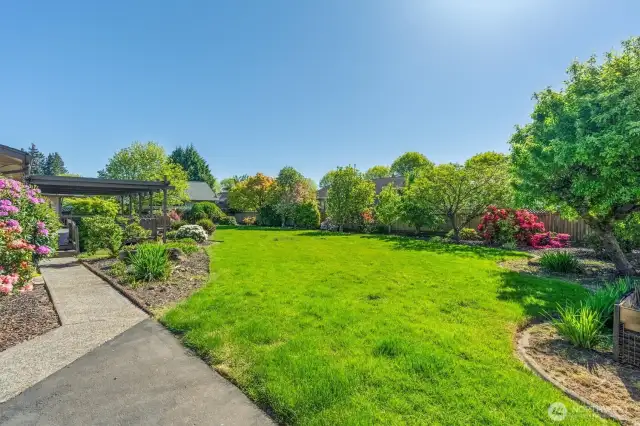 Large landscaped yard