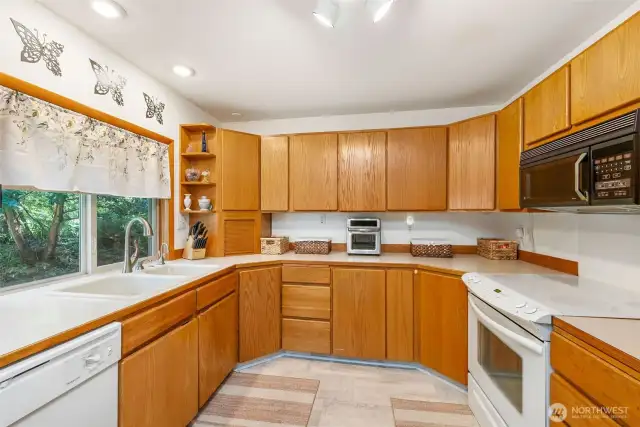 Lots of counter space and a whole house Pelican UV water filtration system