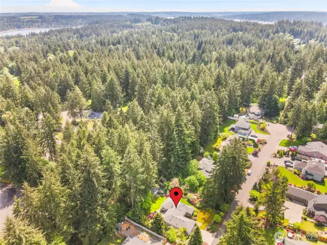 Artondale Woods - a simple, lovely, one cul-de-sac neighborhood.