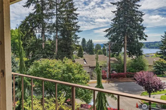 I'm told in the winter you can see Mt. Rainer from the balcony.