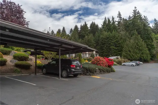 Parking space #12