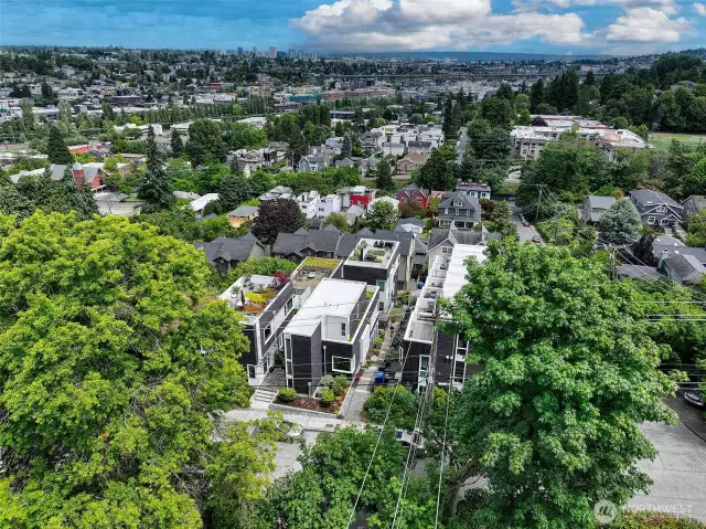 A hillside haven in Queen Anne. Nestled among treetops and classic Seattle streets, Harold’s Place offers modern design rooted in place—just minutes from Fremont, SLU, and the cultural heart of the city.