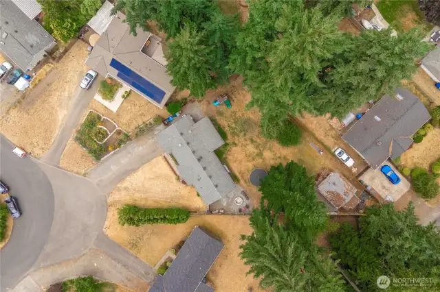 This direct overhead aerial shot showcases the full property layout, highlighting the spacious lot, mature trees providing natural privacy, and the home’s position on a quiet cul-de-sac. The fenced backyard, circular fire pit area, and generous driveway offer a clear view of the home's outdoor features and functionality.