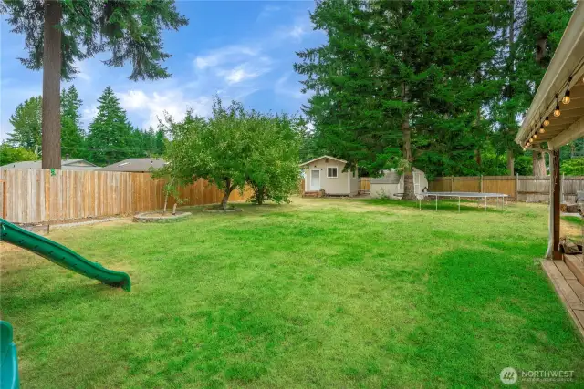 This wide-angle view highlights the depth of the backyard, complete with a charming shed, a play structure, and mature apple trees for added shade and character. The space feels private and serene with tall evergreens lining the back.