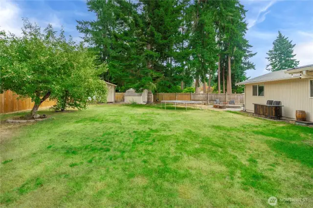 A spacious, fully fenced backyard offers a park-like setting with lush grass, mature trees, and ample room to play or garden.