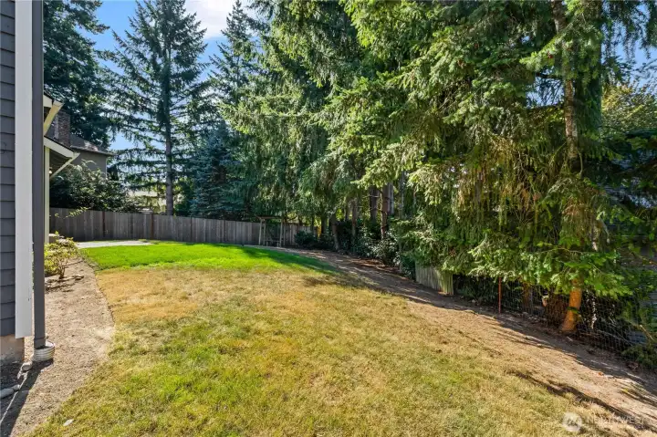 Good sized rear yard.