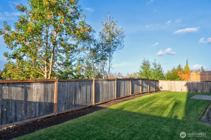 Well maintained yard