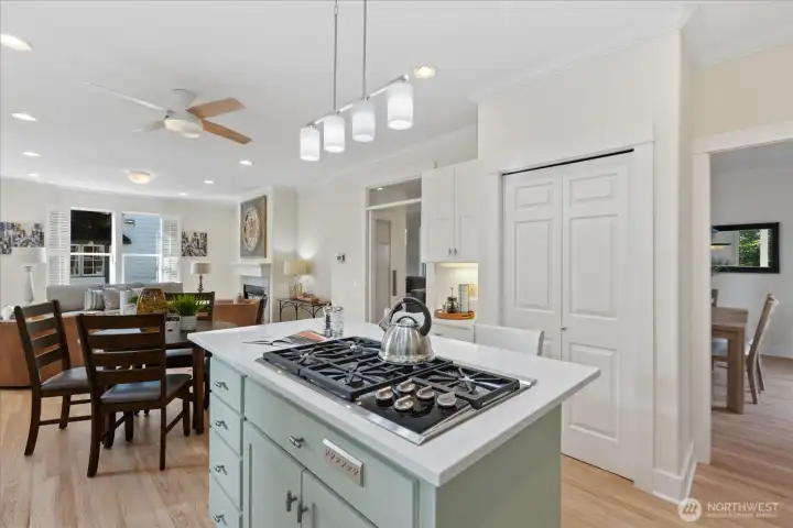 Open-concept kitchen that connects to the dining room, family area, and backyard. Notice the abundance of light flowing into these spaces.