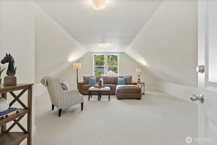 Bonus Room, Hobby Room, so many possibilities!