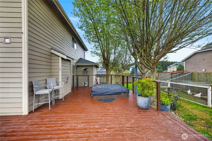 Back deck also features a sunken hot tub!