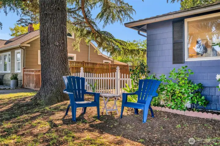 Enjoy a shady spot with your afternoon beverage.