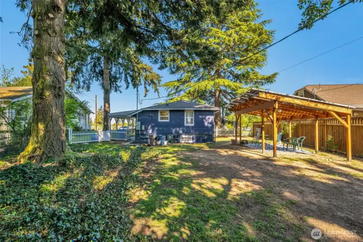 Looking back toward the home from the Western property line.