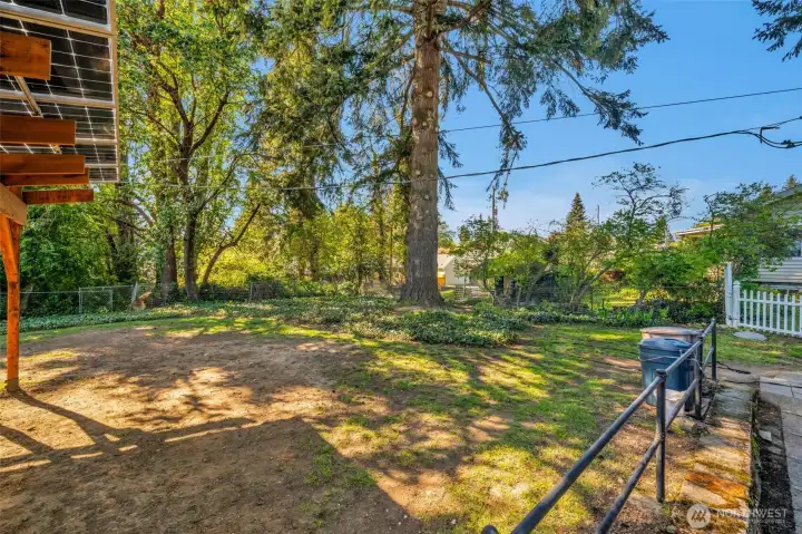 More of the back yard.