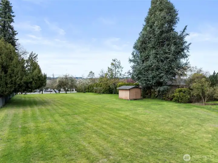 Large flat field for your vision!  The little shed in this photo does not convey.