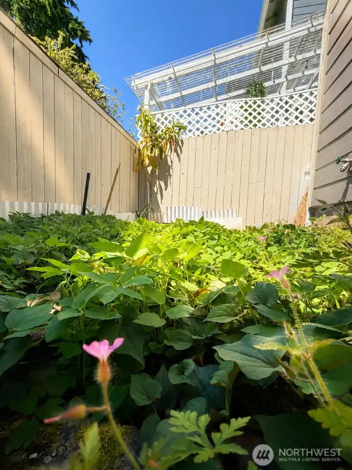 Herb garden