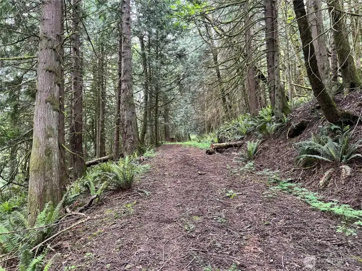 Access Driveway