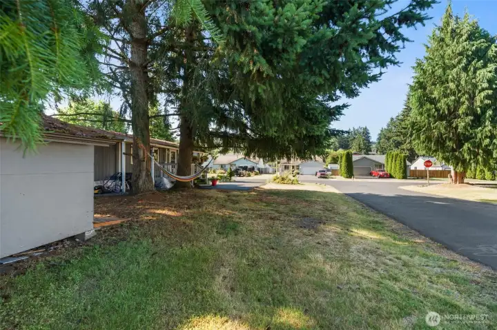 Large side yard
