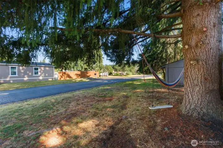 Perfect shaded side yard for hammock or swing