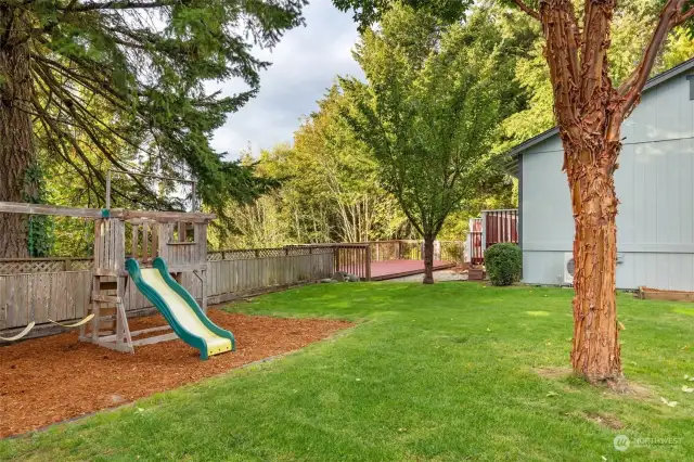 This photo really captures how a group can be enjoying the deck area and still easily interact with whomever's enjoying the lawn area and jungle gym (it stays!)