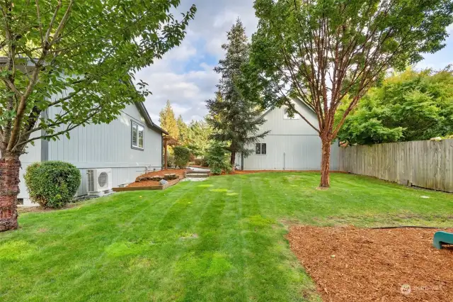 This shows the backyard space looking back to the shop and front driveway.