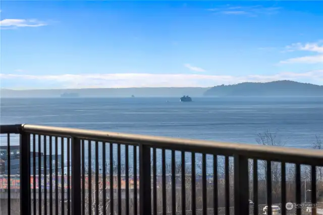 Enjoy breath-taking views of Elliott Bay, the snow-capped Olympic Mountains and the waterfront Sculpture Park from your unusually spacious deck. Always something interesting to see!