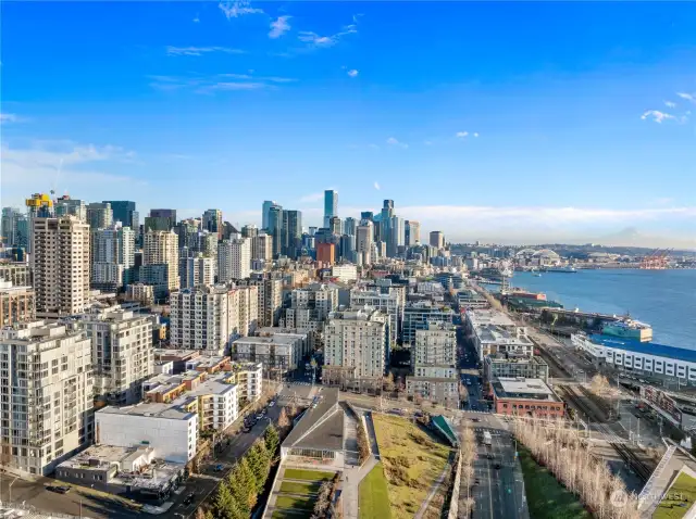 Looking south toward Downtown Seattle.  The grass in the foreground is at the Olympic Sculpture Park. The Ellington towers are across the street to the south and left one block.  In the background one can see the City downtown, stadiums, and even Mt. Rainier.