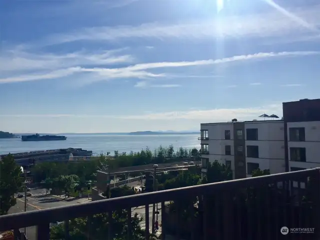 Looking southwest at the greenery of the Olympic Sculpture Park and Elliott Bay