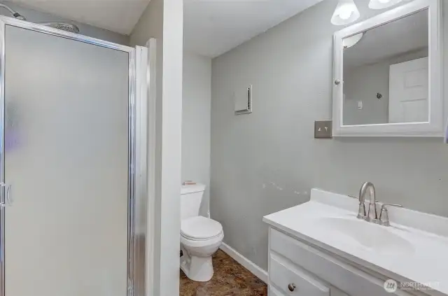 Lower Level Bathroom