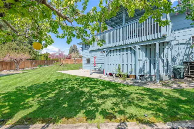 Gorgeous Yard