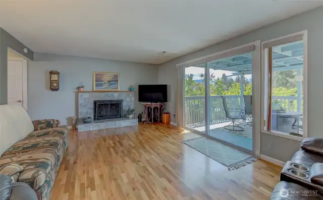 Wood Burning Fireplace