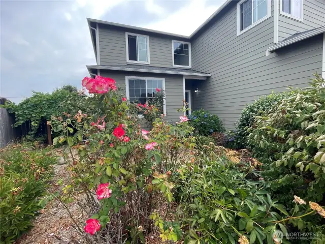 Rose Garden