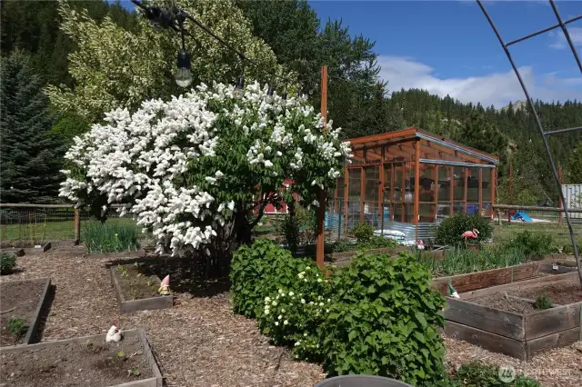 Fenced garden and greenhouse