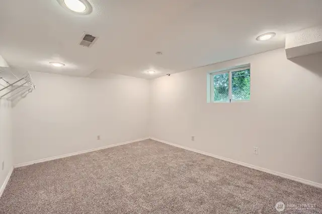 Lower Level Family Room