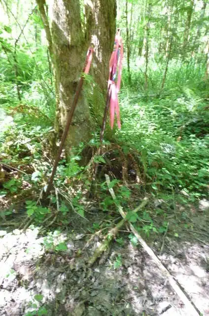 X marks the spot on the SW corner.