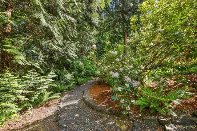 Gravel paths throughout the garden.