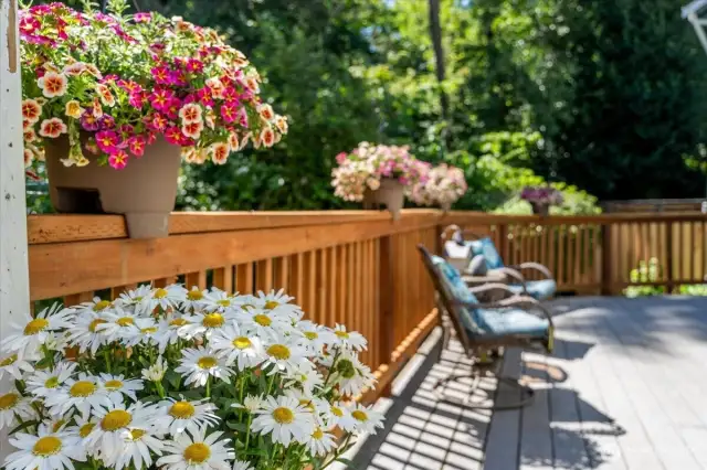 New Railing on Expansive Deck