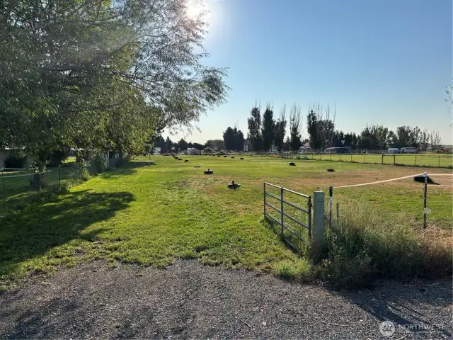 Pasture Irrigated