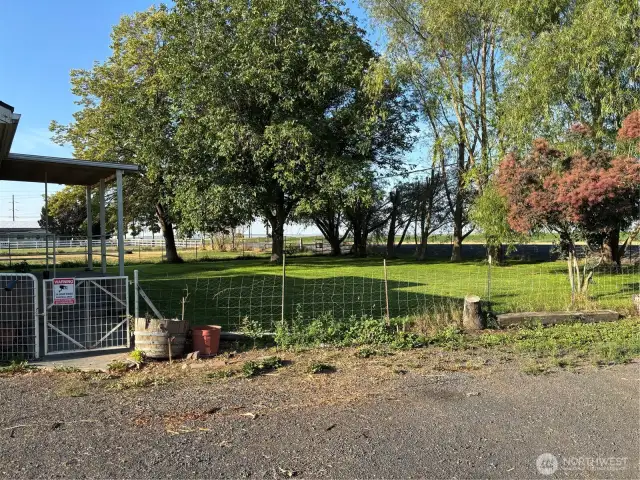 Front Yard