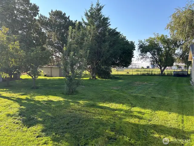 Backyard, Pump House and small shed with power.