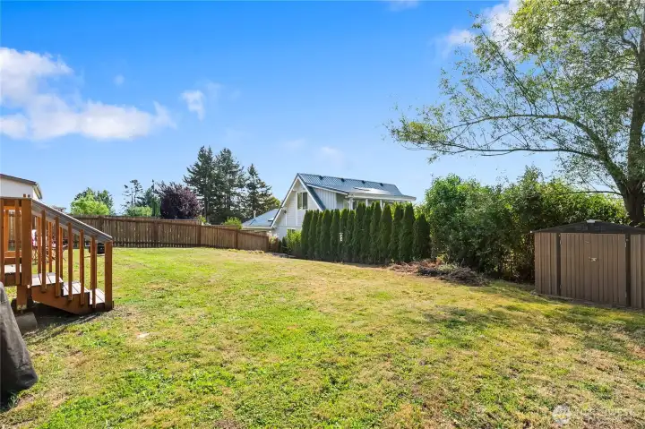 Sunny, spacious backyard