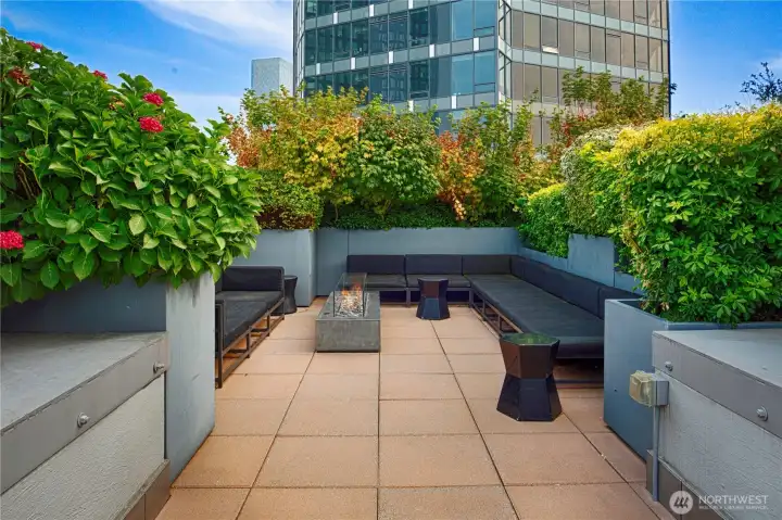 Large sky terrace with several distinct spaces to relax, BBQ, and more