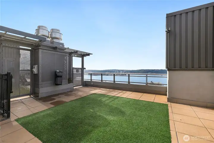 Dog potty patch and dog wash station