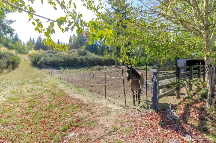 This is the fenced in horse area with lean- to for cover on rainy days.    The path to the left of this area goes up the sight slope to the back of the 10 acres.