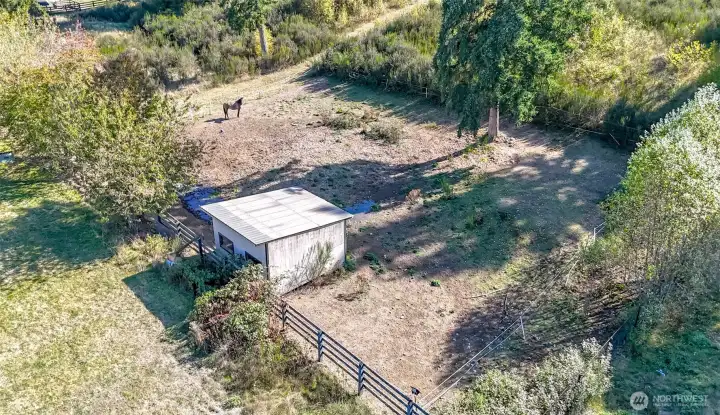 Horse lean - to and fenced pasture area.