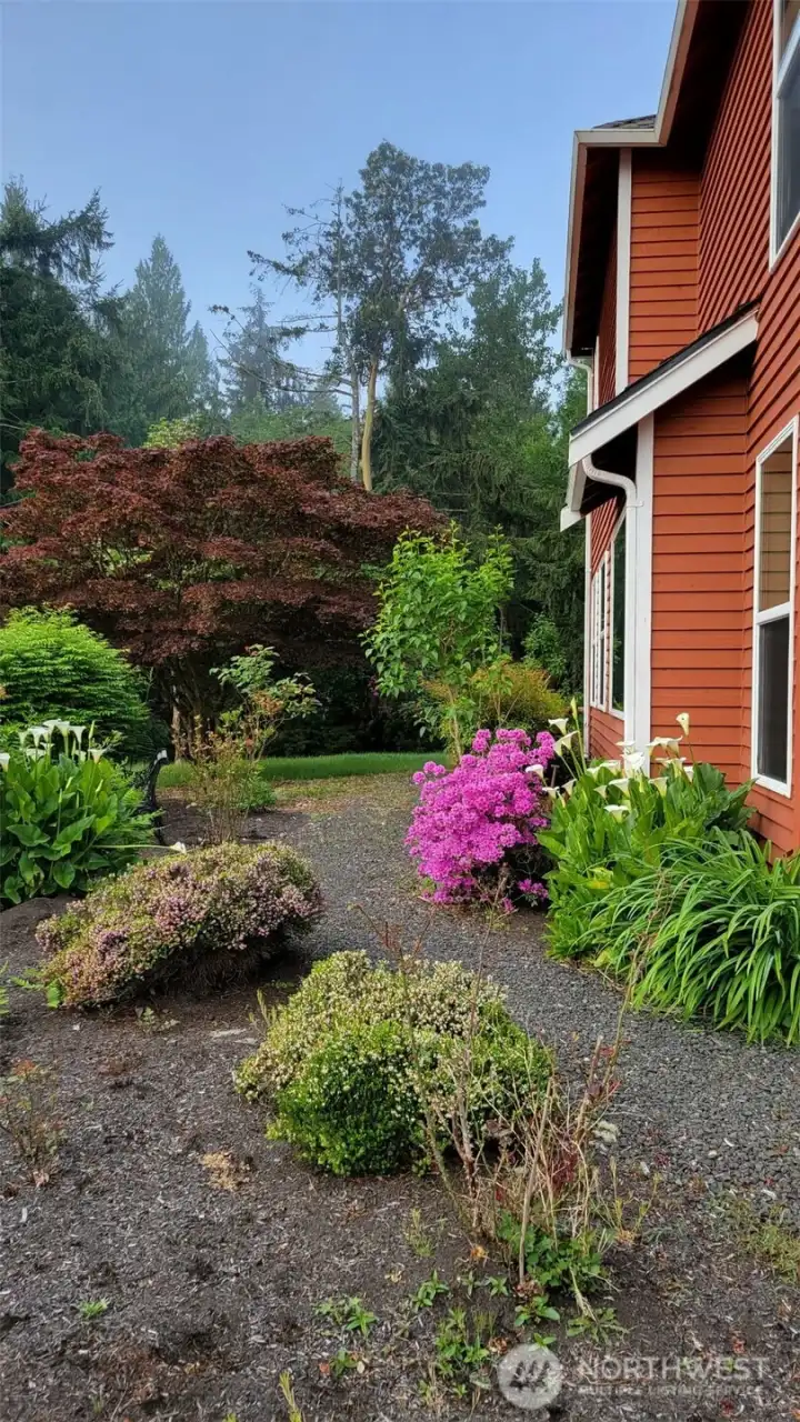 Beautiful mature landscaping Beautiful mature landscaping
