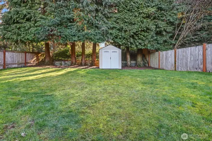Shed in the backyard for all of your gardening tools.