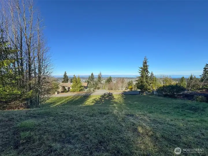 Some trees for privacy